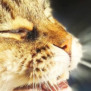 Meet your Posher, Ali